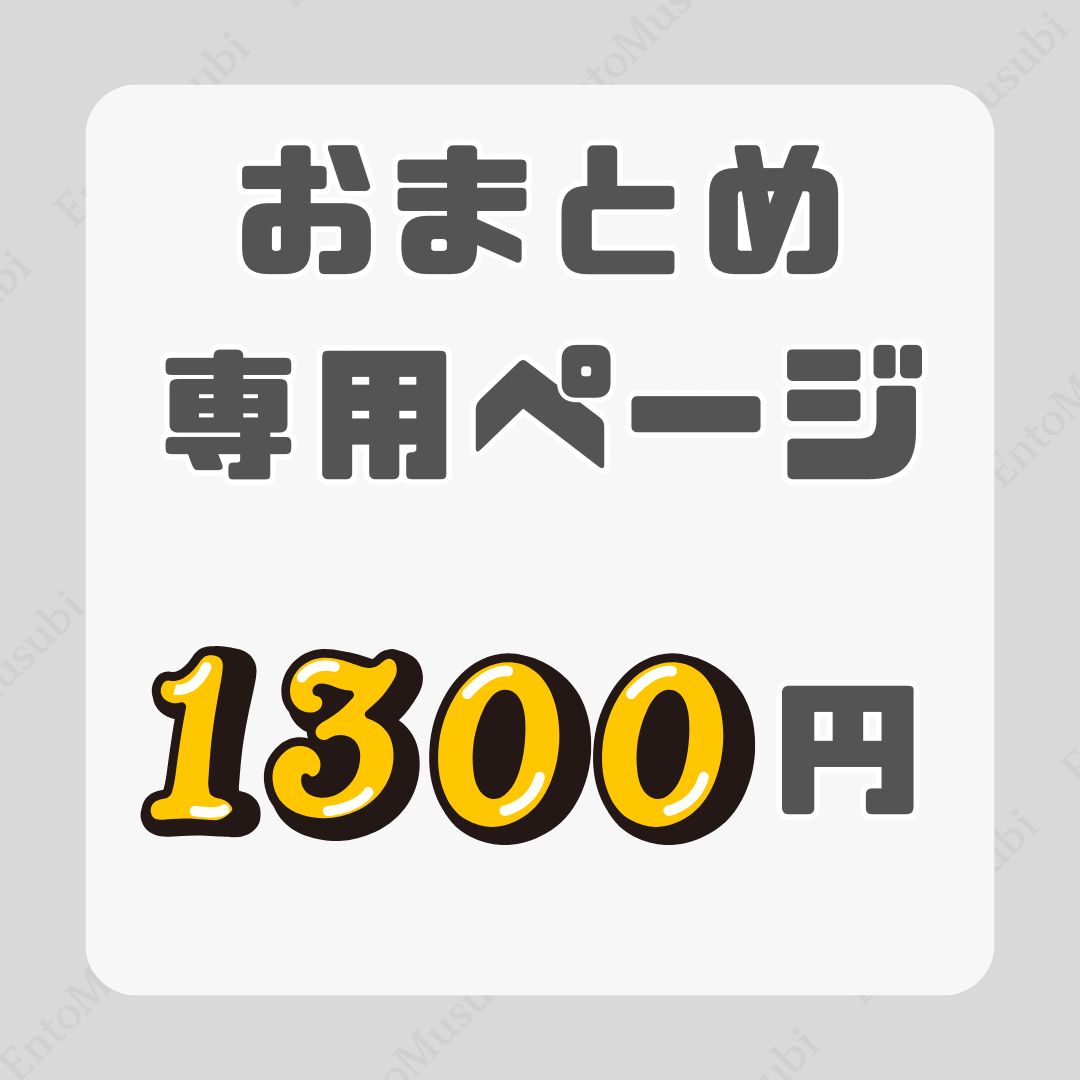 専用ページ　おまとめ割引-1300 おまとめ1300円】｜おまとめ割引専用ページ｜組み合わせ自由 - メルカリ