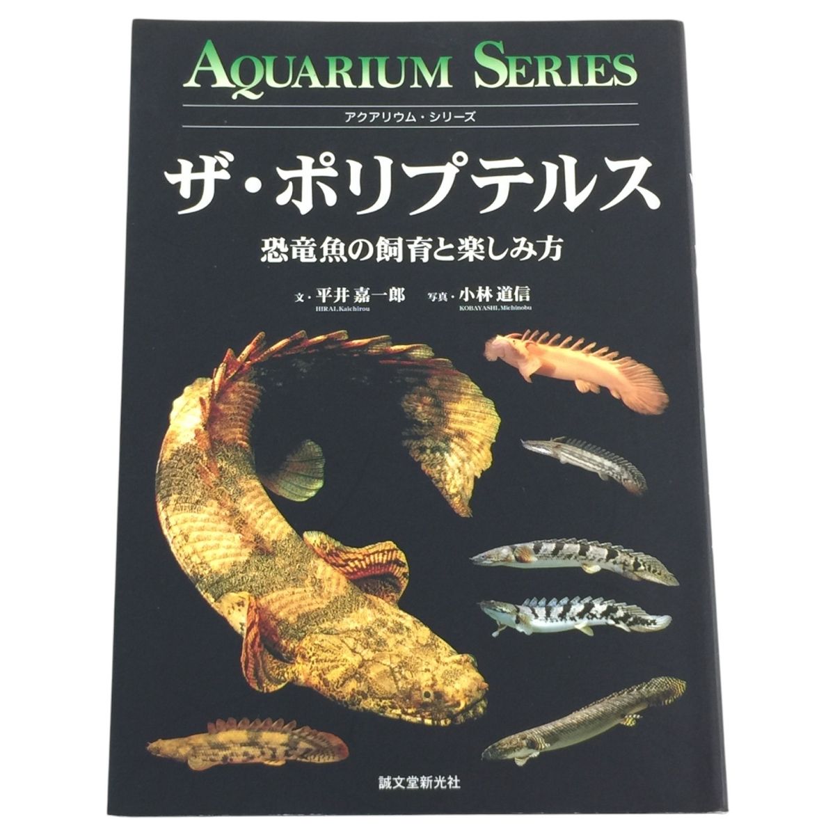 ザ ポリプテルス 恐竜魚の飼育と楽しみ方 平井嘉一郎 N10591658