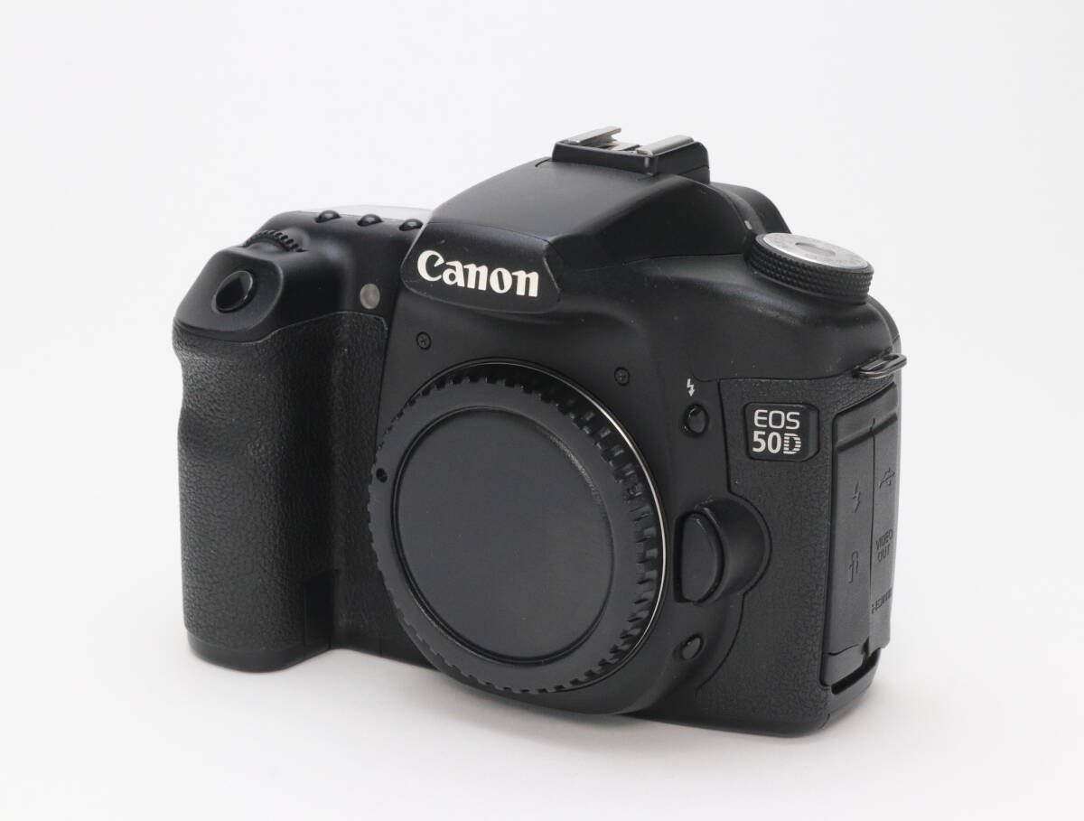 Canon EOS 7D Mark II + シグマ 100-300mm 本気でCanon EOS 7D MarkⅡ