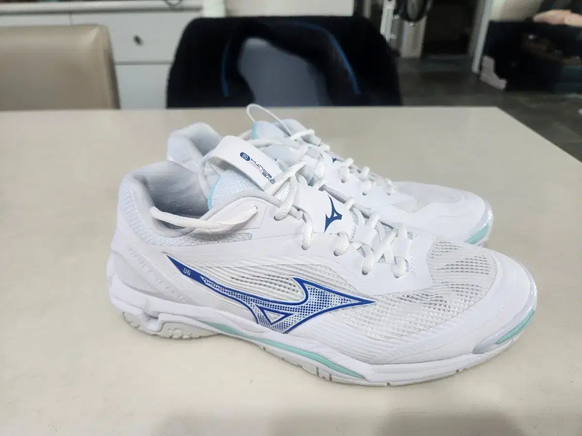 ミズノウェーブ STEALTH 6 バドミントンシューズ 260