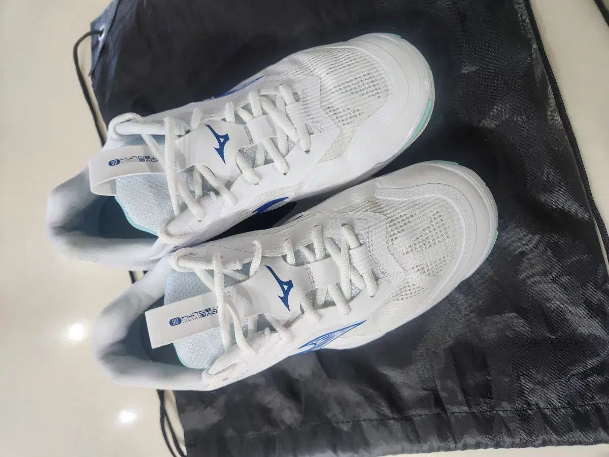 ミズノウェーブ STEALTH 6 バドミントンシューズ 260