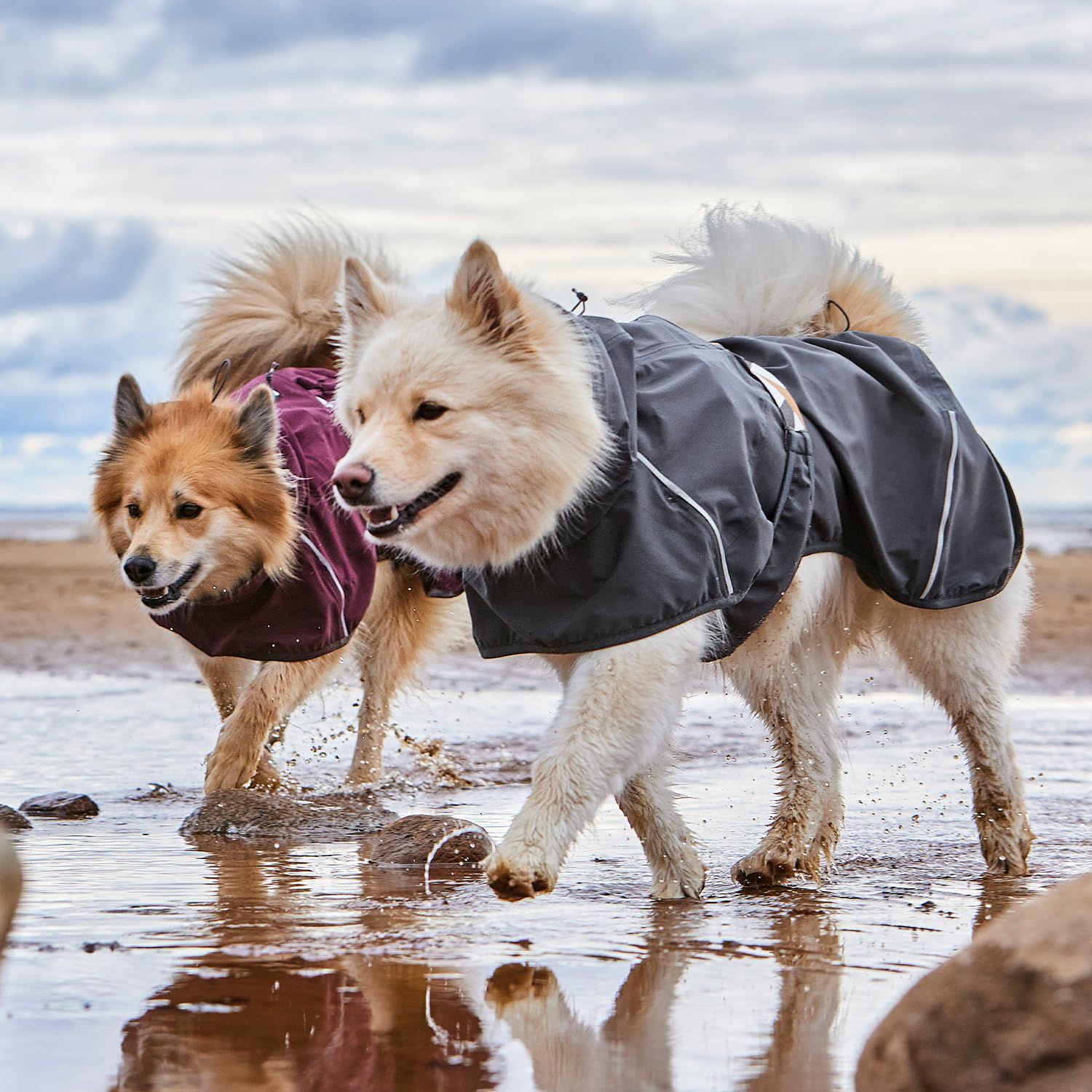 Hurtta フルッタ レインジャケット マッドベンチャーコート 60cm ブラックパープル