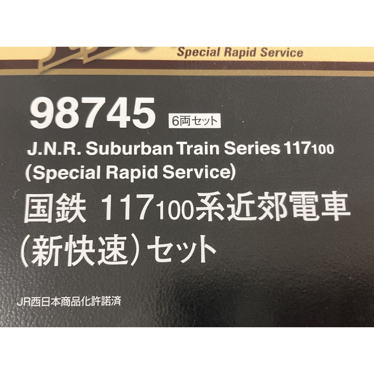 117 100系近郊電車