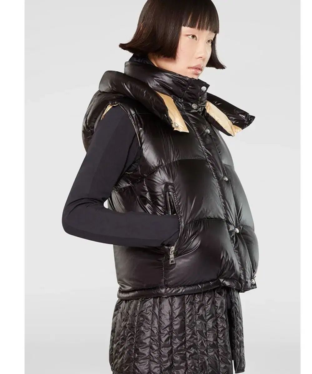 シャイン ダウン ベスト 定価80万