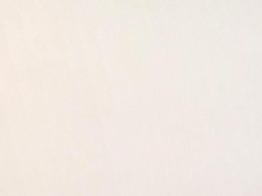 プロギア egg 2015 10° ドライバー DR eggオリジナルカーボン フレックスR メンズ 男性用 右利き 右用 Cランク ゴルフクラブ