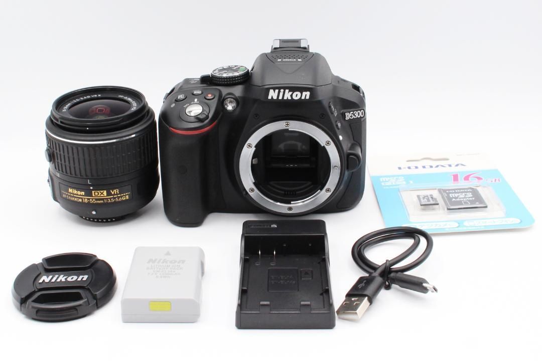 ショット数 少 ニコン Nikon D5300 レンズキット デジタル一眼レフ Wi-Fi内蔵 バリアングル液晶 可動式液晶 304