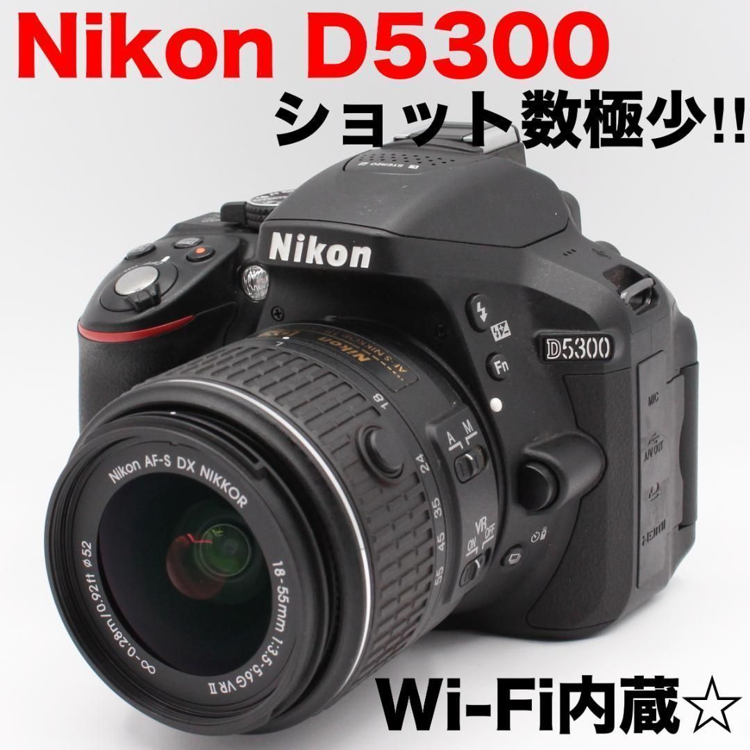 ショット数 少 ニコン Nikon D5300 レンズキット デジタル一眼レフ Wi-Fi内蔵 バリアングル液晶 可動式液晶 304
