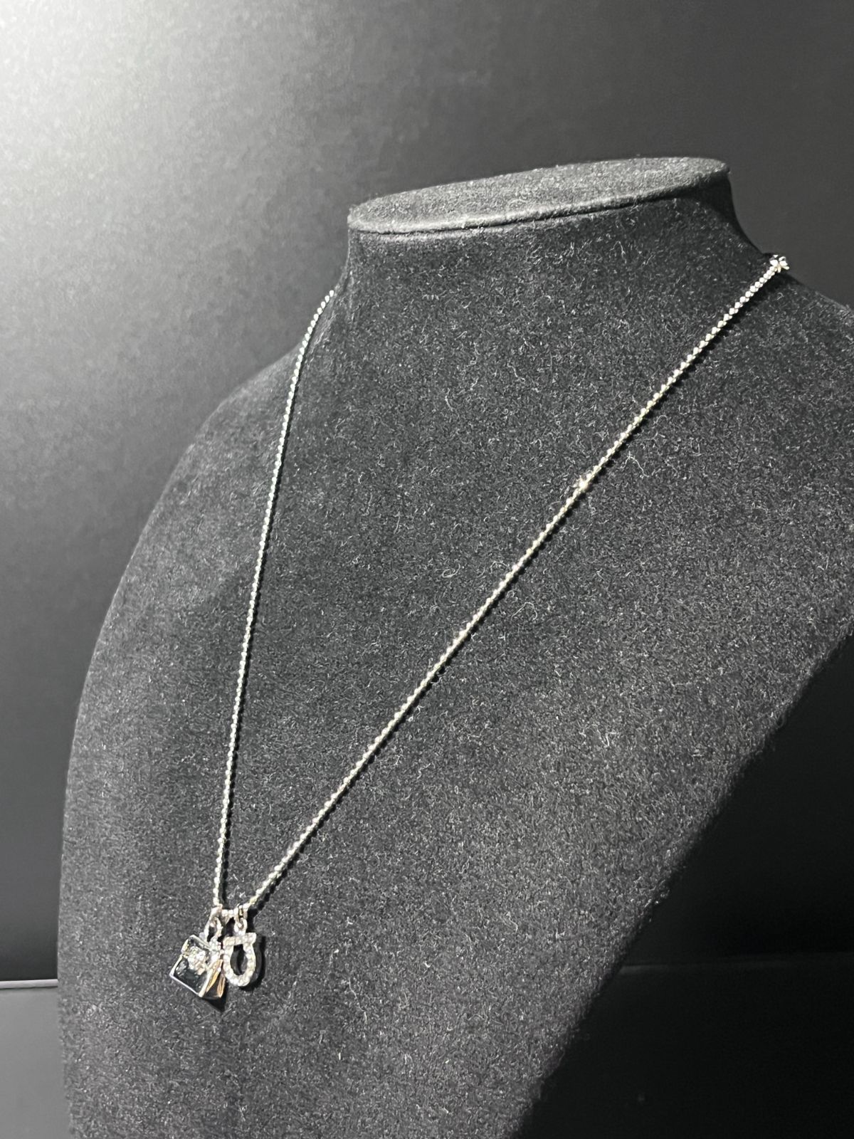 サルヴァトーレフェラガモ ネックレスシルバー B25110367