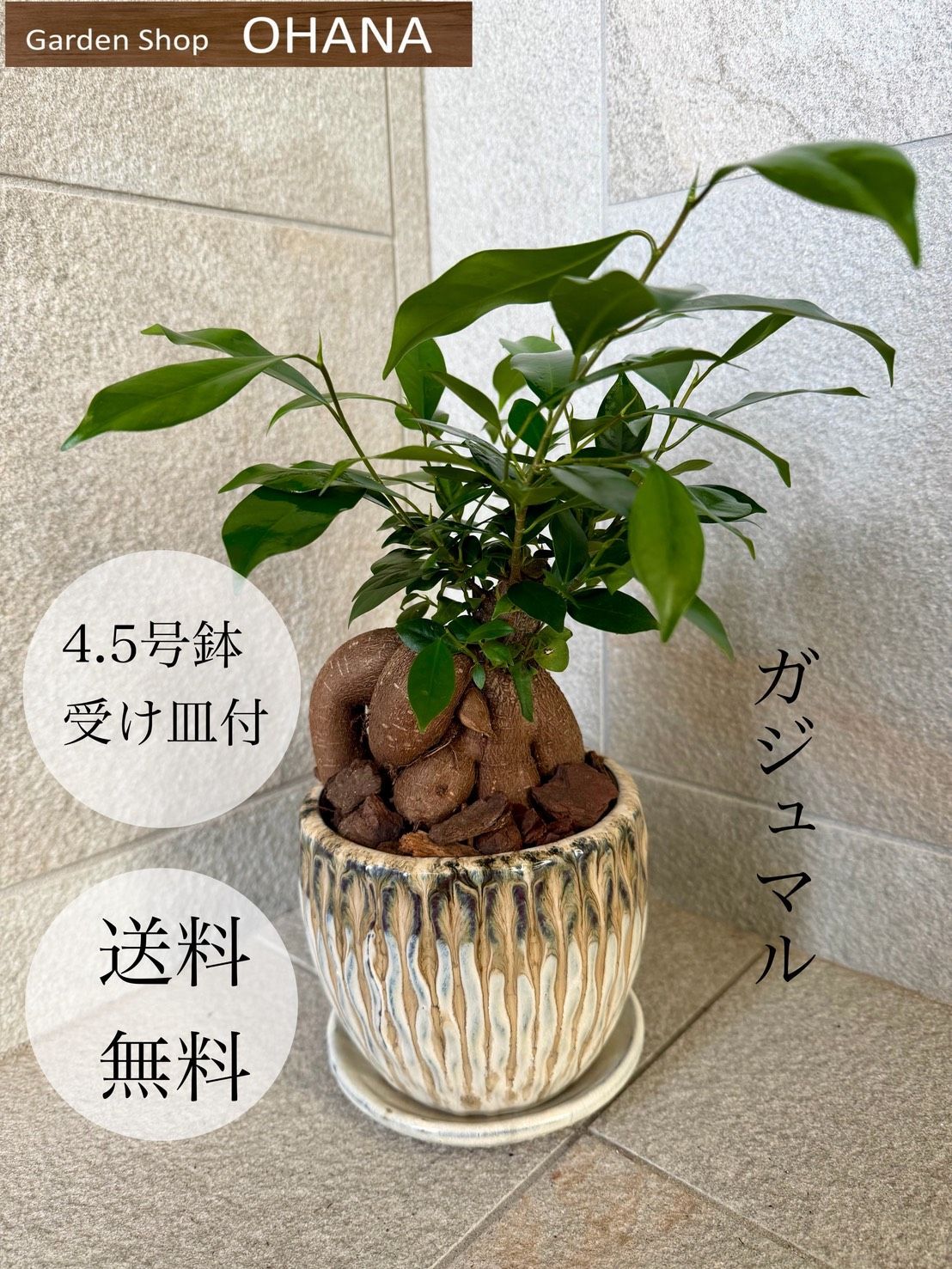 2JGasV5xZnakanMKpaCvSe.jpg@jpg