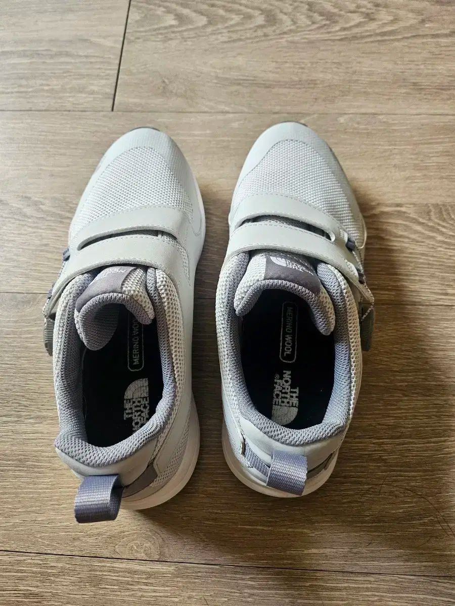 ザノースフェイス スピード BOA スニーカー グレー