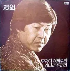 ジョンウォン JUNGWON 何が 残念ながら|待って ジュリラ ナ フナ ジン ミリョン