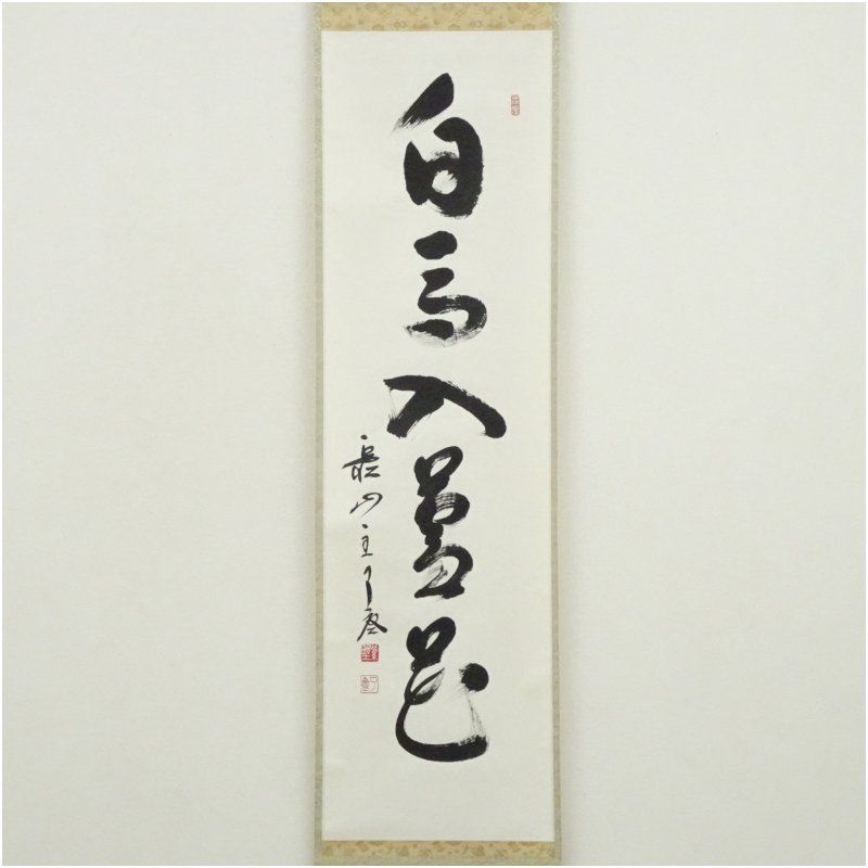 大徳寺 橘宗義 了庵 筆 白馬入蘆花 一行書 肉筆紙本掛軸 共箱 掛け軸 床の間 書 おしゃれ 絵画 表具 芸術 茶道 年中掛け インテリア 茶掛 掛物 和室 10月 秋