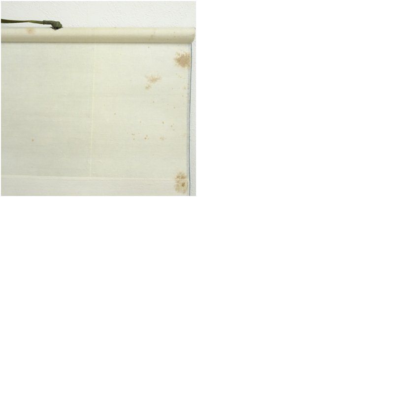 東大寺 北河原公敬筆 「行雲」二字 肉筆紙本掛軸（保護箱） 掛け軸