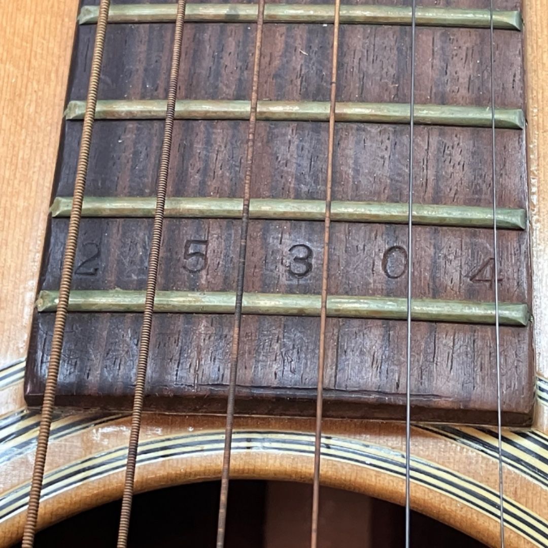 gumbo ガンボ アコギ ハードケース付き 弦楽器 C10588656 WWW_TRAVELLANDINDIA_COM