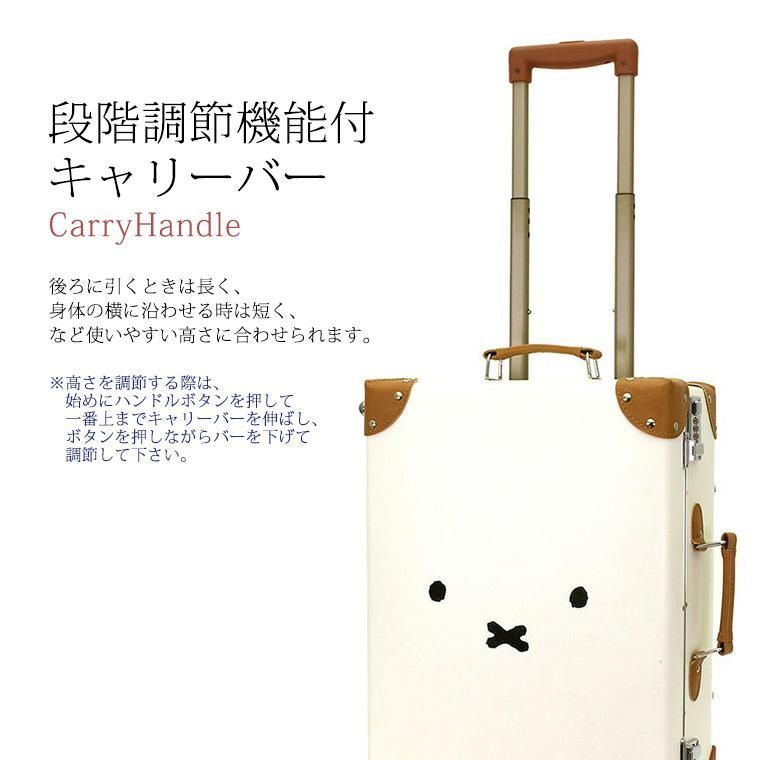 フェイスナチュラル M425