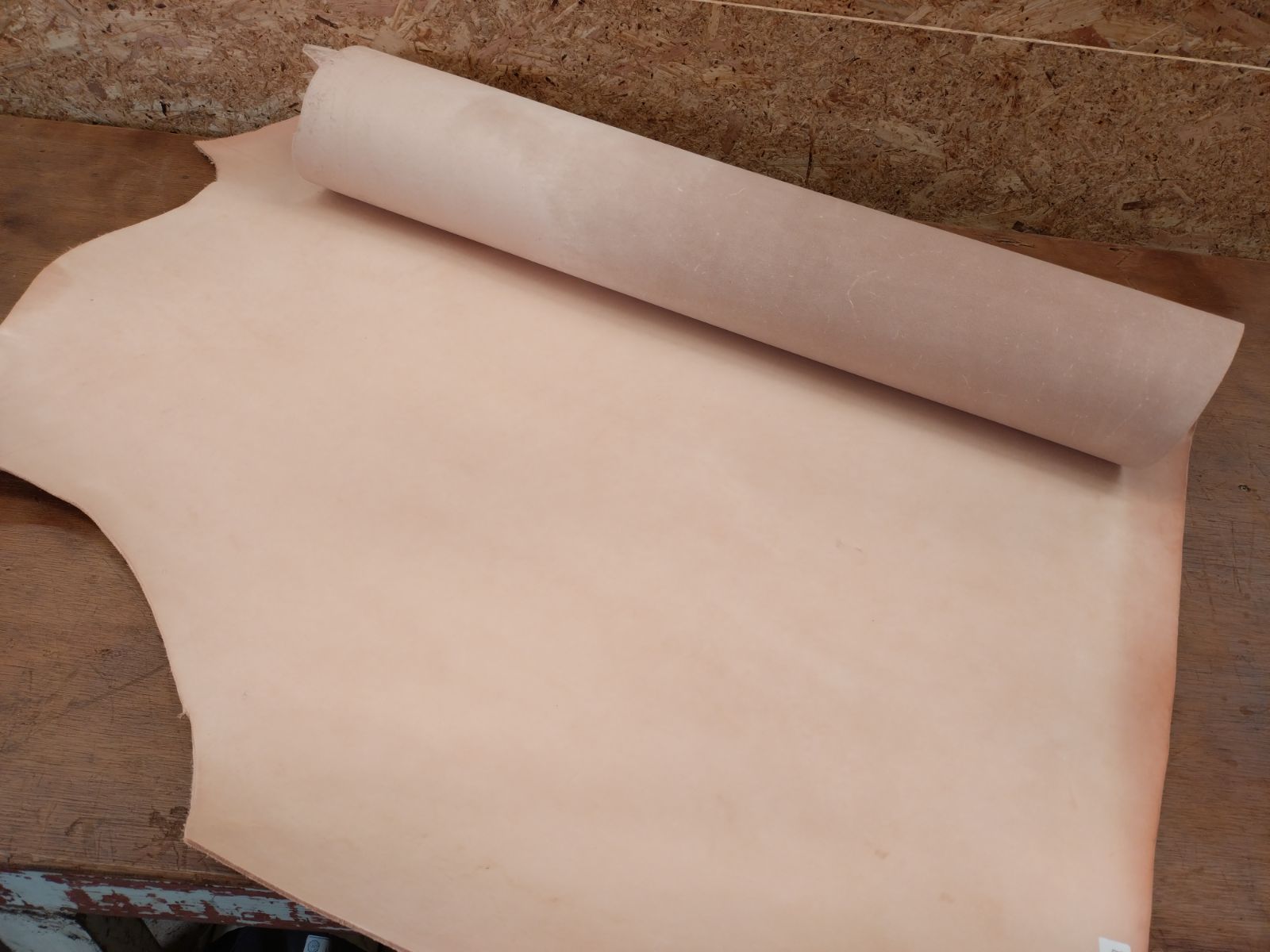 No.5 鈴木誠也 実使用 ラインナップカード サイン 検) 卸売 tシャツ