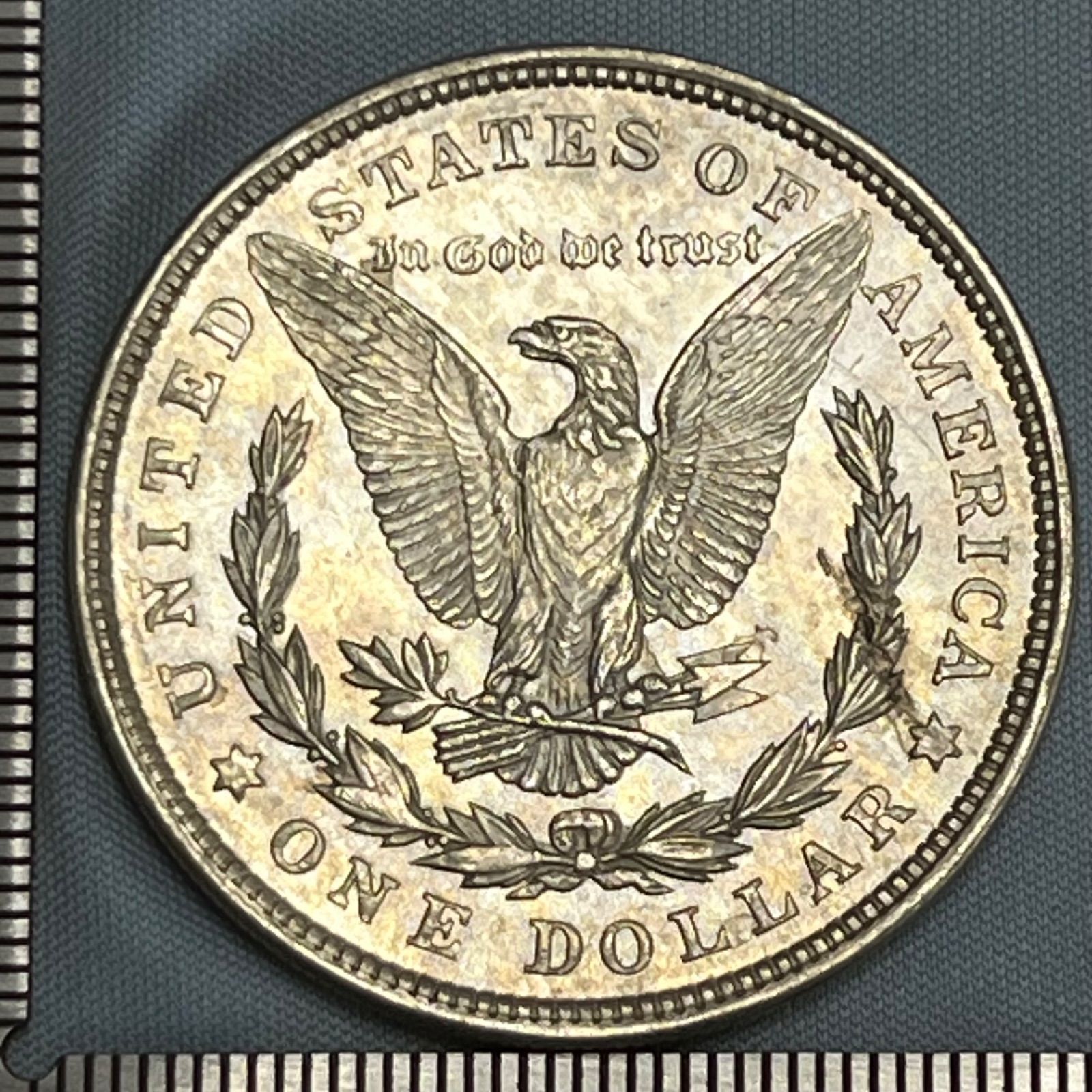 アメリカ モルガンタイプ1ドル銀貨 1921年 AU-UNC 10枚 | コンチョ