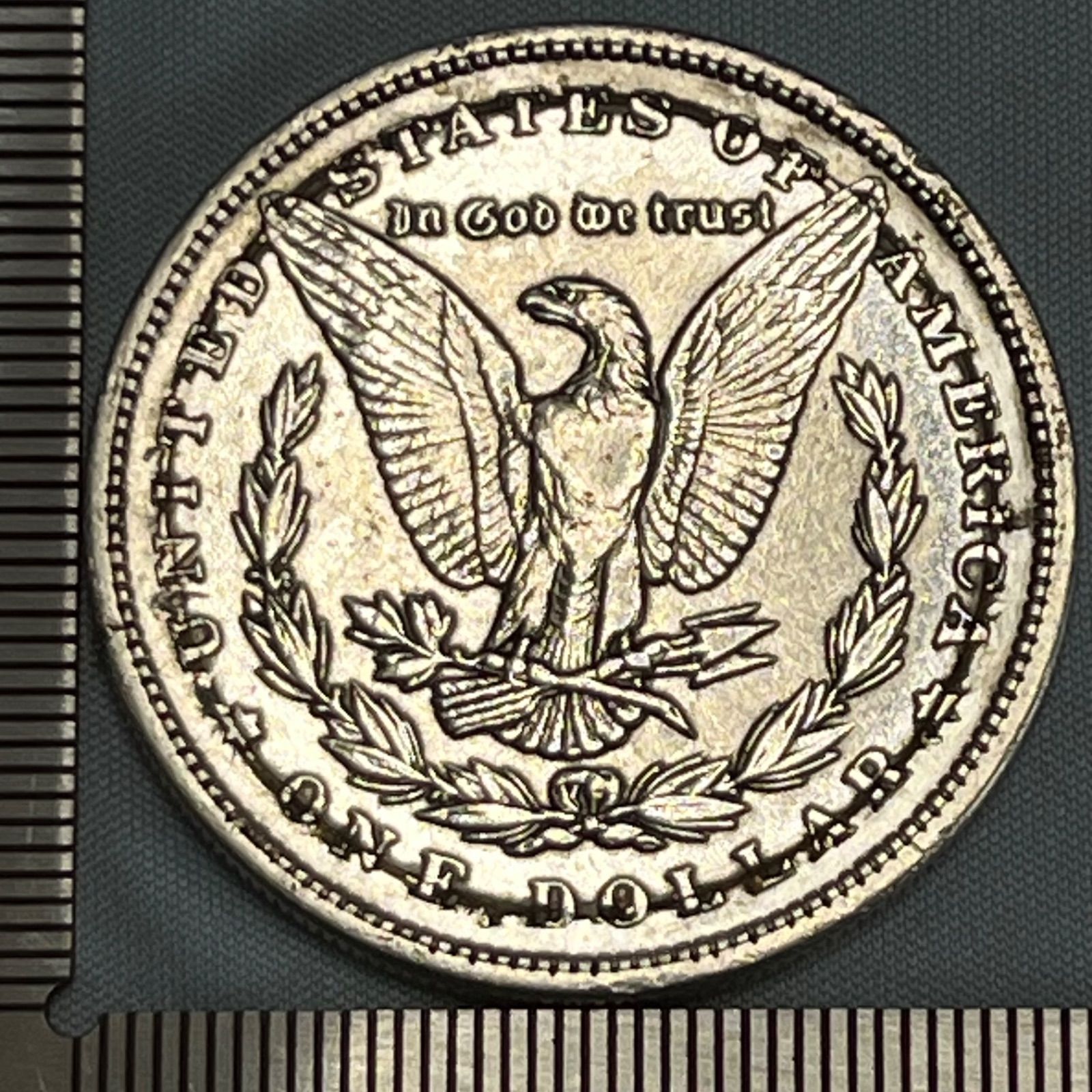 銀貨】1879年 アメリカ モルガンダラー（Morgan Dollar）／自由と繁栄