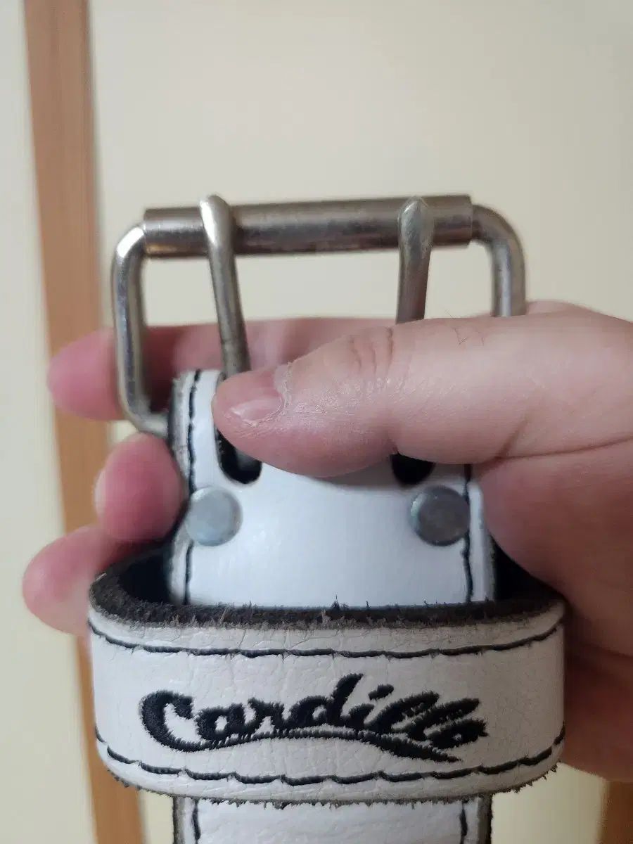 Cardillo カーディロ 310 dl 白 新モデル ジムベルト xsサイズ