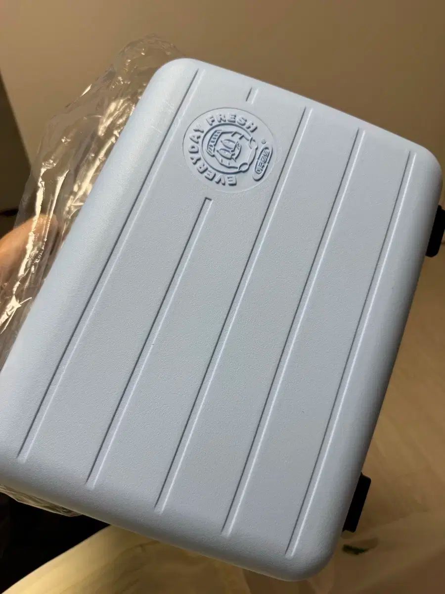 レディバッグ ミニキャリアー 新品