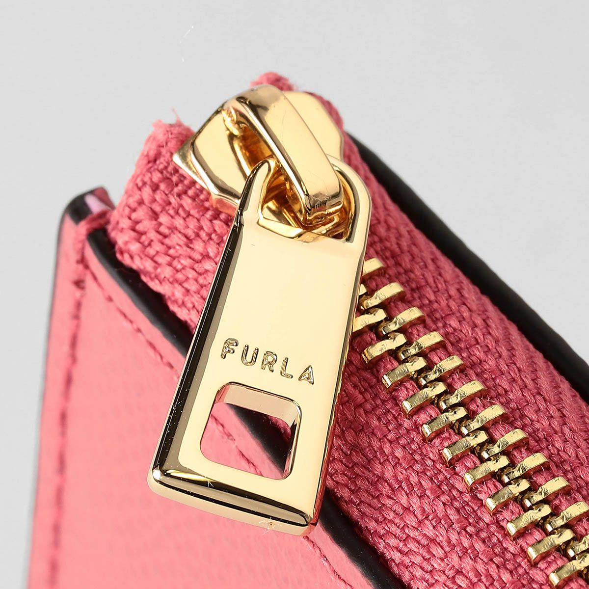 カメリア ブラッシュピンク|サクラ