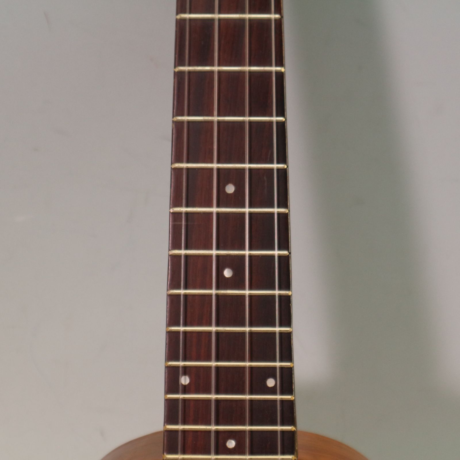 ハイブリッド 297f22