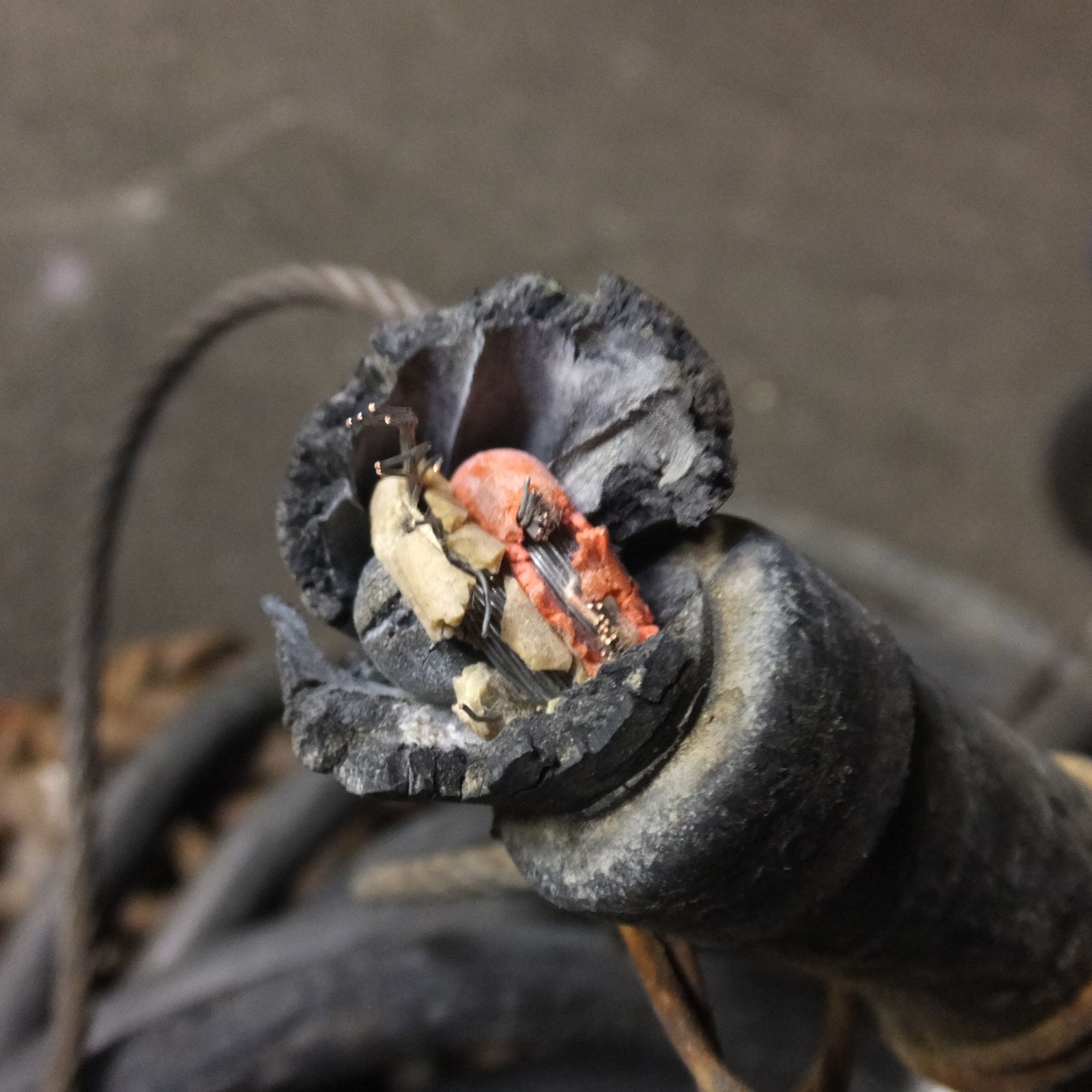  岐阜発 象印 電気チェーンブロック F KONGO 3 1 TON その他 電動工具 エア工具