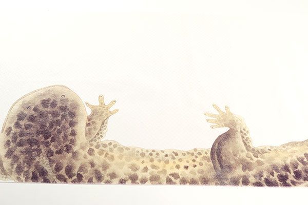 ona4591 お仕立て付き