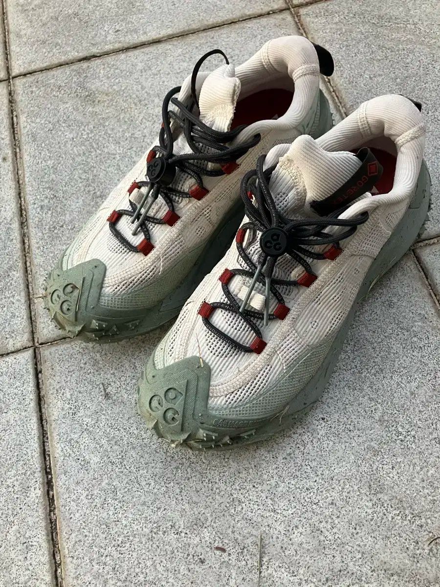 ナイキ acg マウンテン フライ 2 ゴアテックス