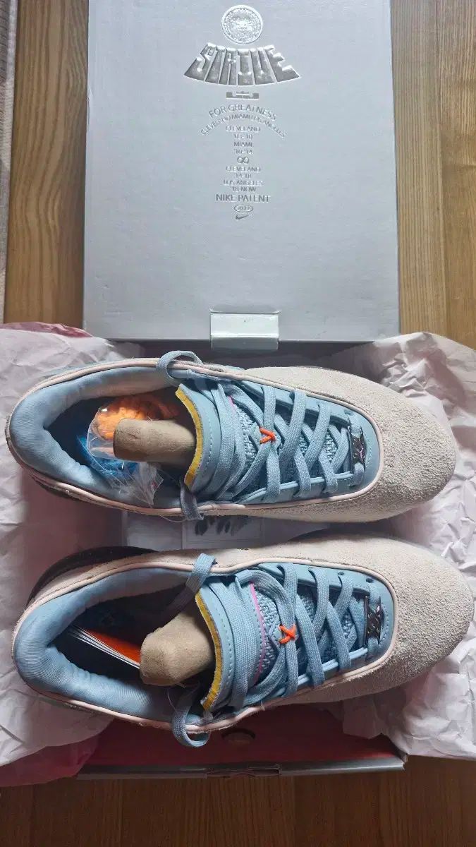 ナイキ レブロン XX EP グアバ アイス DV 9089 801