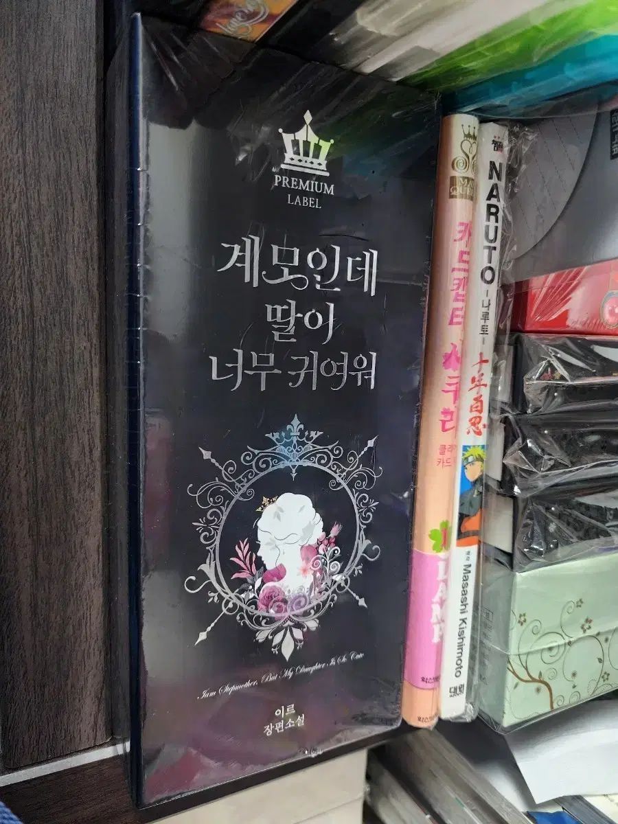 継母だけど娘がかわいい 小説 未開封