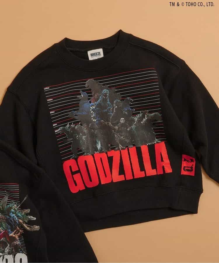 絶版 esquire's ENCYCLOPEDIA 20th 英語版