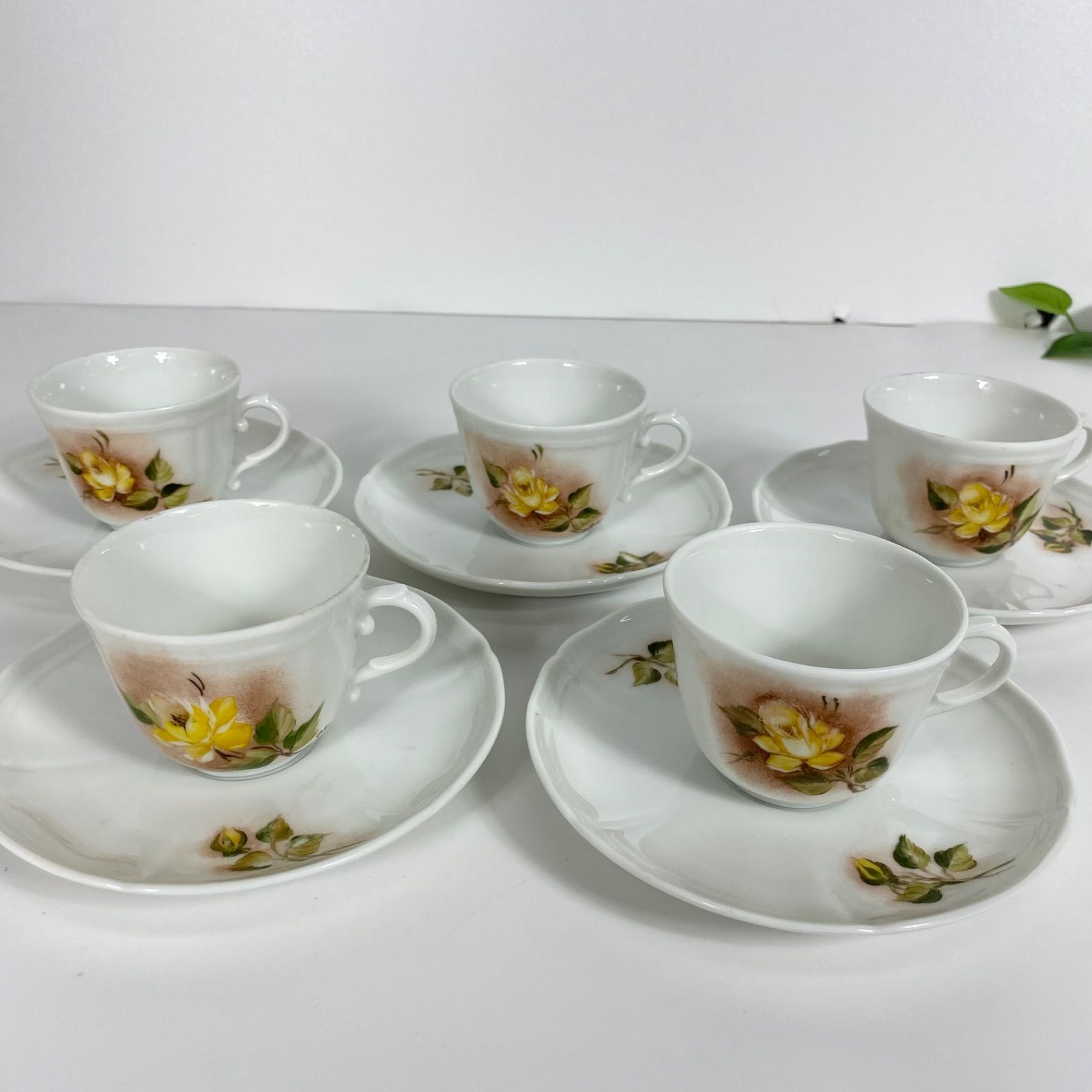 Richard Ginori リチャードジノリ カップ&ソーサー 5客セット 手描き イタリア製 花柄 ティーカップ ジノリ1735