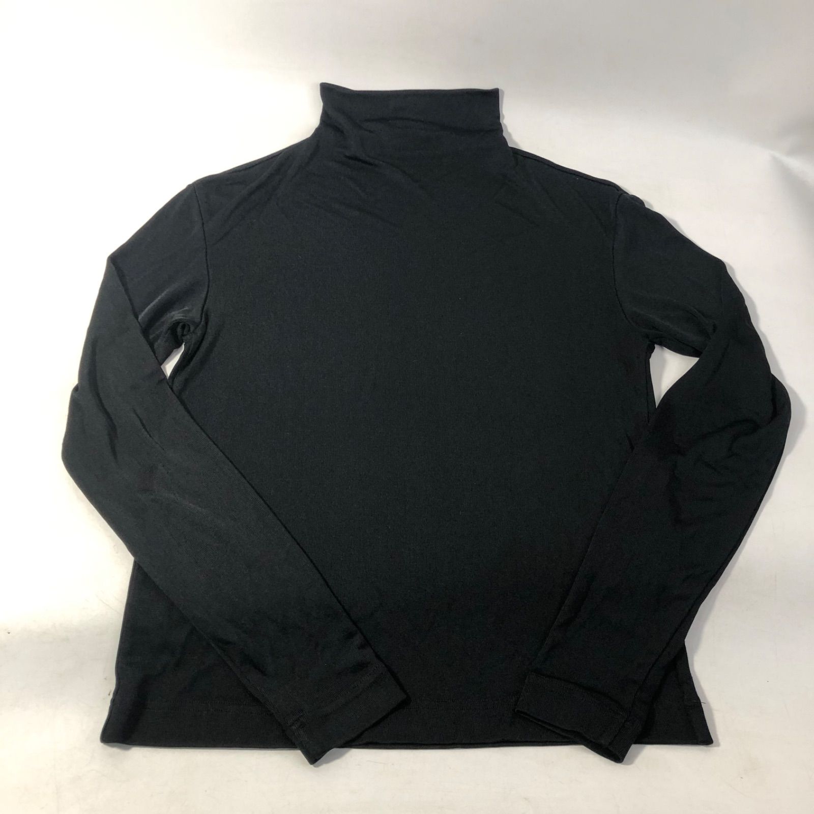 A1106-35-5 ISSEY MIYAKE イッセイミヤケ レディース ロンT トータル