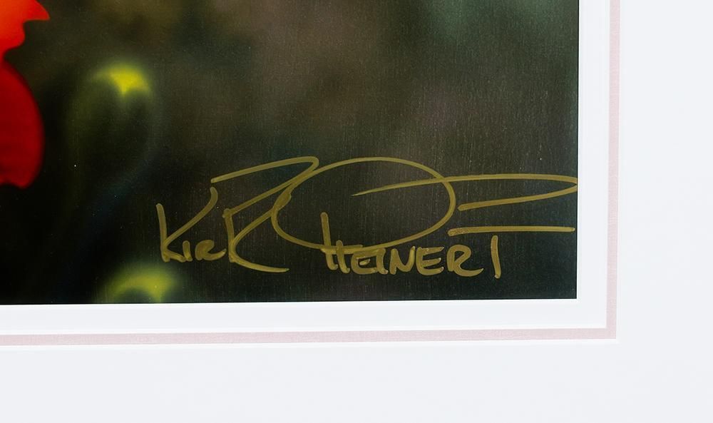 カーク・レイナート 公式】レイナポートグランZ-YKKAP - カーポートならエクスショップ