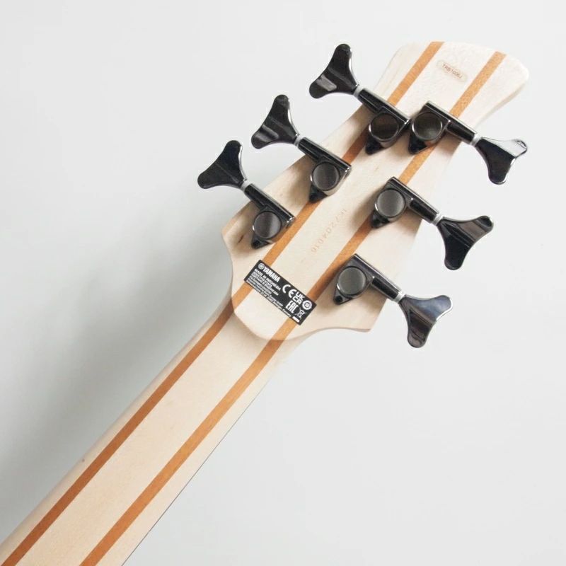 6弦エレキベース