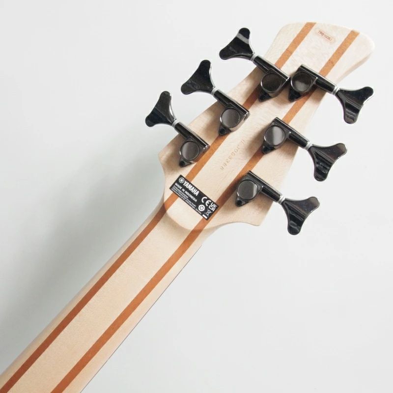 6弦エレキベース