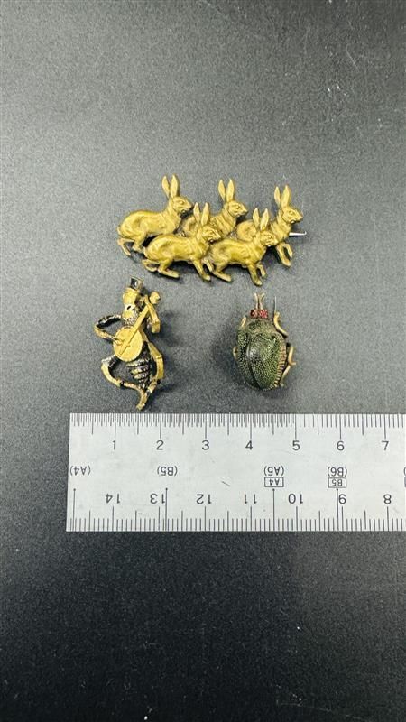 昆虫 キリギリス