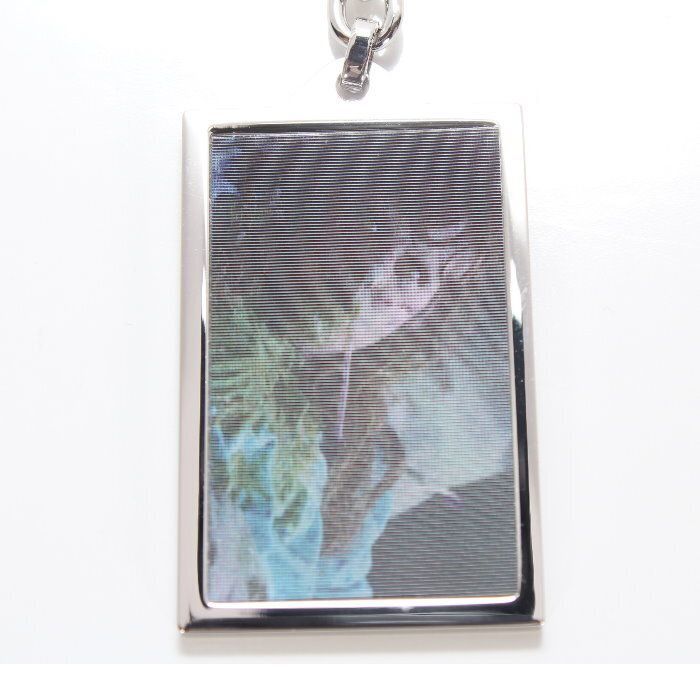 Supreme シュプリーム エクソシスト キーチェーン The Exorcist Keychain マルチ ロゴ刻印 キーホルダー キーケース メンズ レディース ユニセックス 本物 売れ筋 WWW_SMP1DAWEKUDUS_SCH_ID