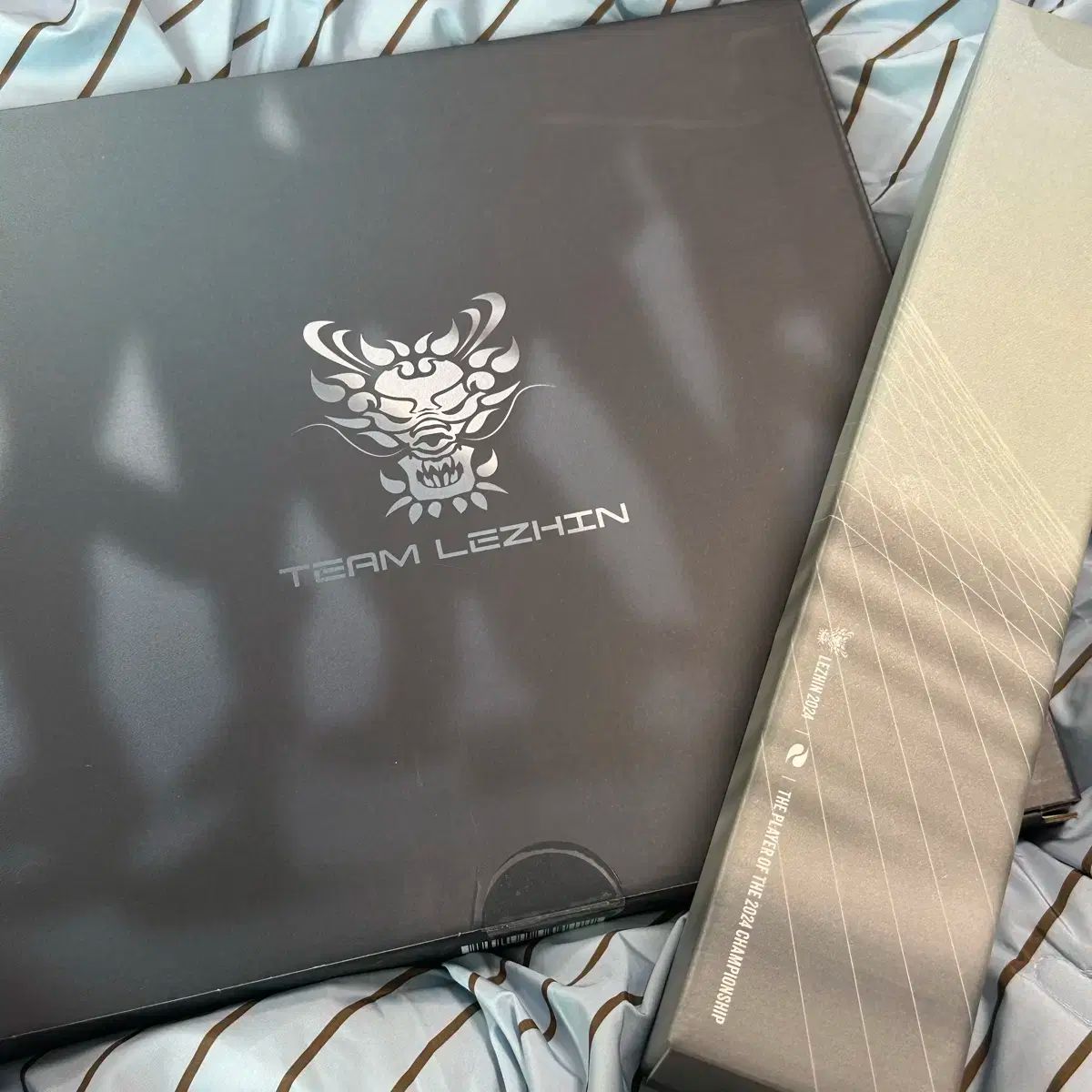 2025 チームレジン シーグリ シーズングリーティング