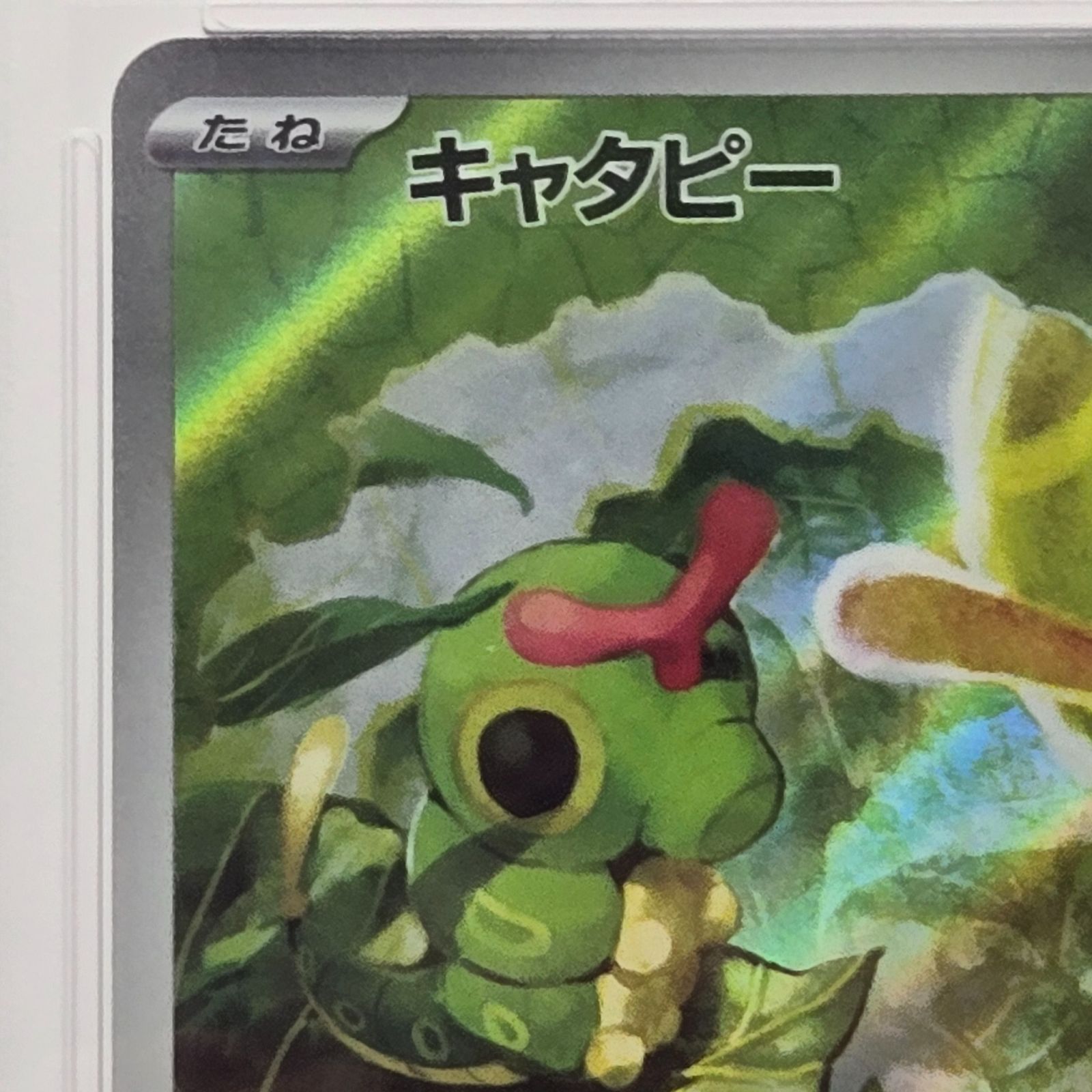 PSA10】ポケモンカードゲーム キャタピー AR SV2a ポケモンカード151