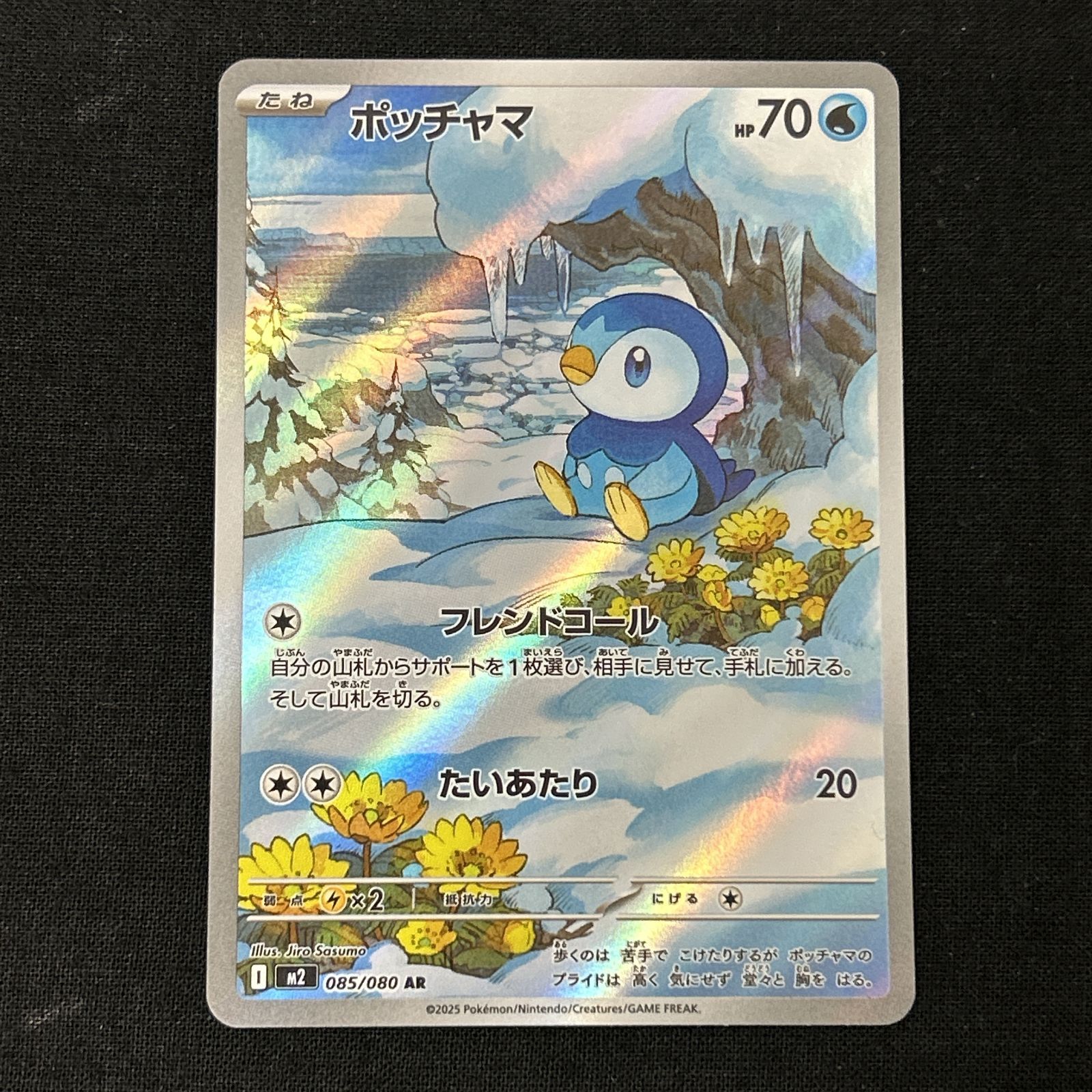 【PSA10】ポッチャマ chr ドリームリーグ PSA10]ポケモンカード ポッチャマ CHR ドリームリーグ【ポケカポッチャマ】