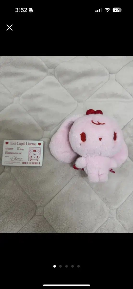 IVE イーブルキューピッド シークレットハニー ミニヴ チェリー ウォニョン セット