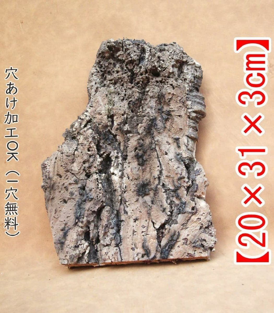 ラオス切手 甲虫 昆虫 王国 1968 全5種 NH オオルリ玉虫 ລາວラーオ