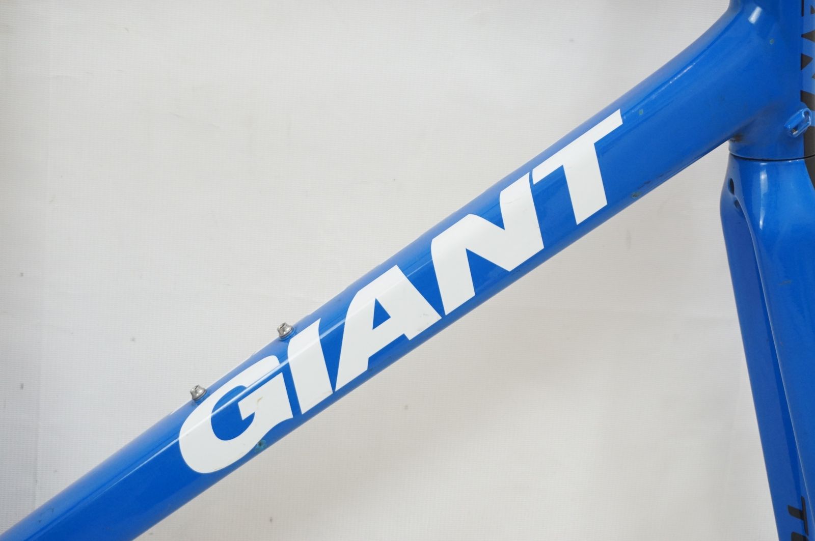 GIANT