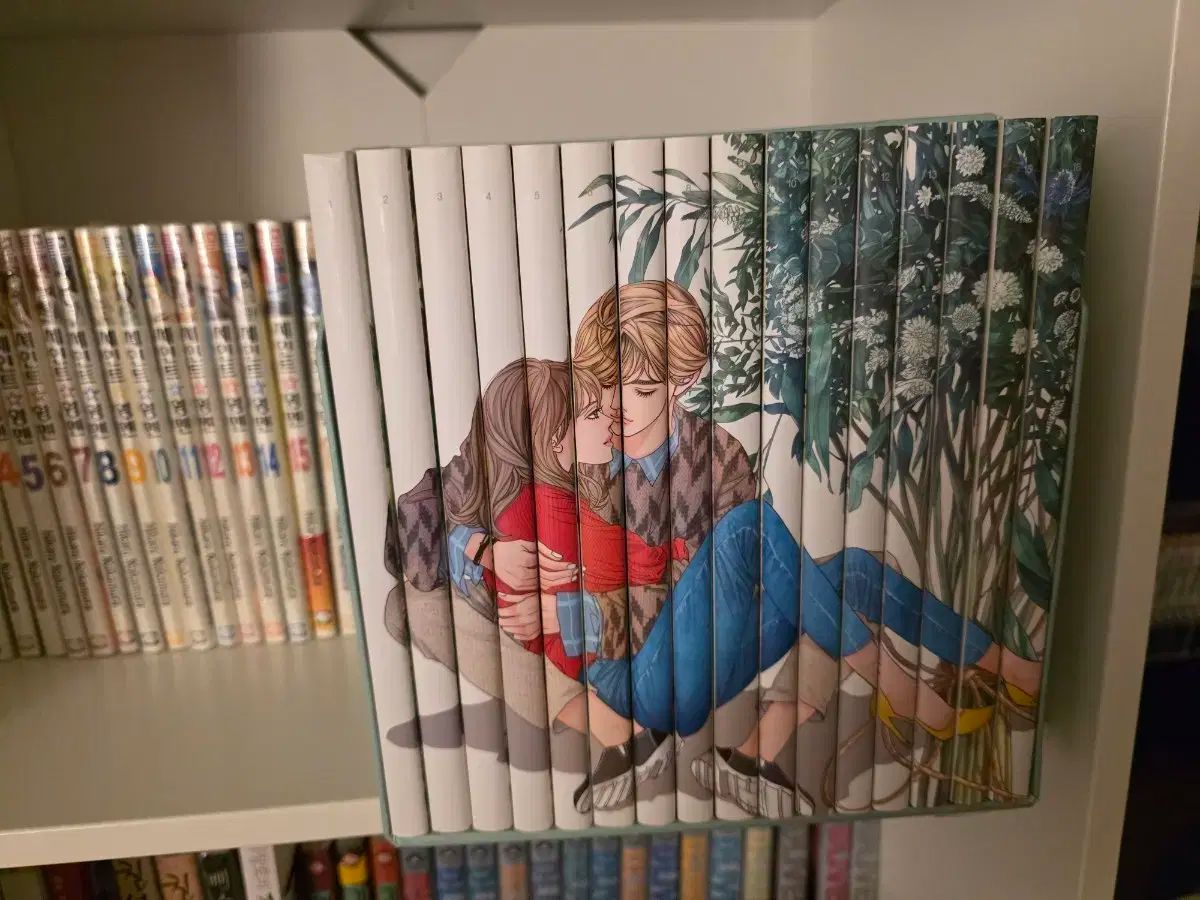 フールハウス ボックスバージョン