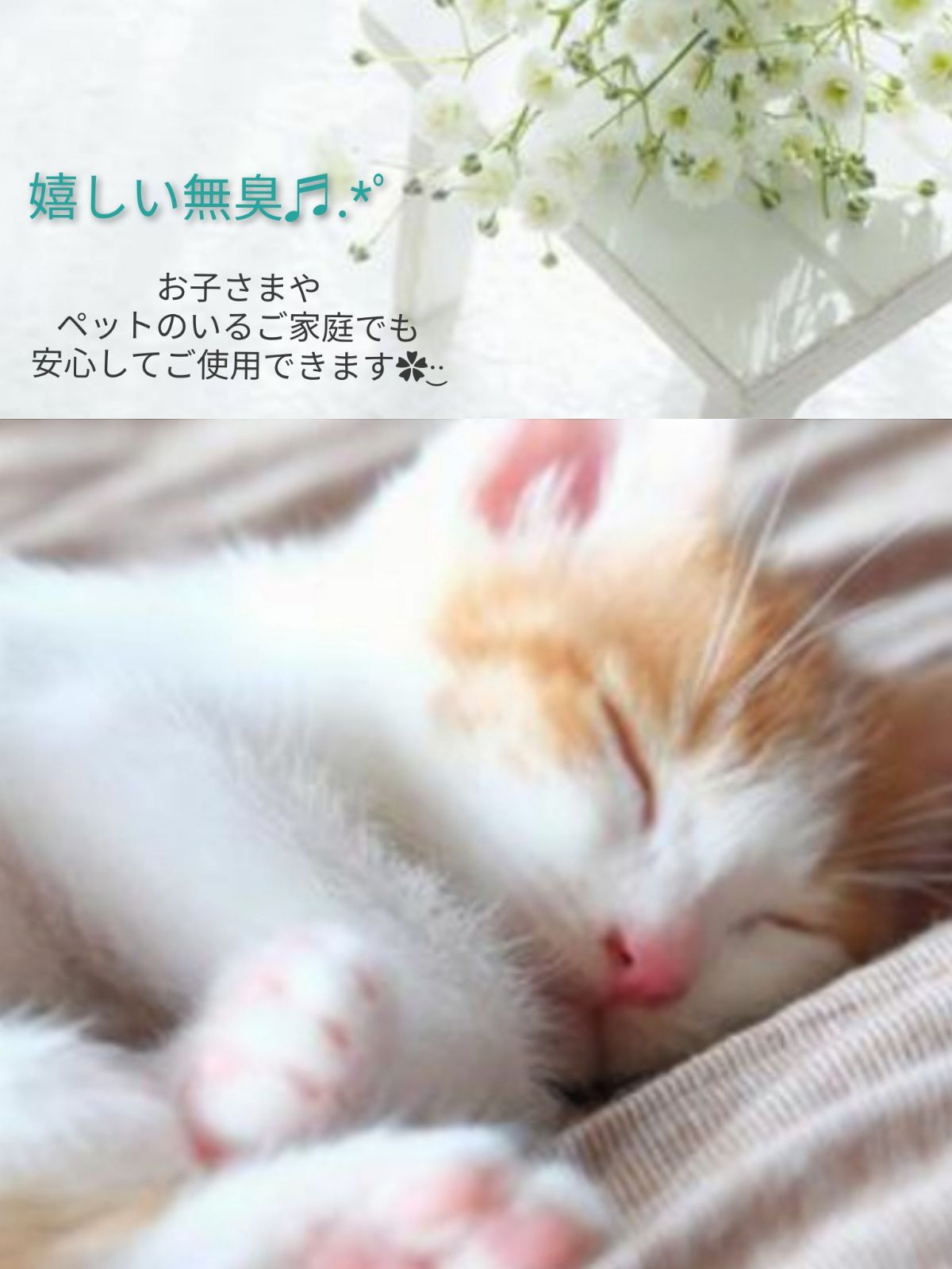 コーティング剤つき