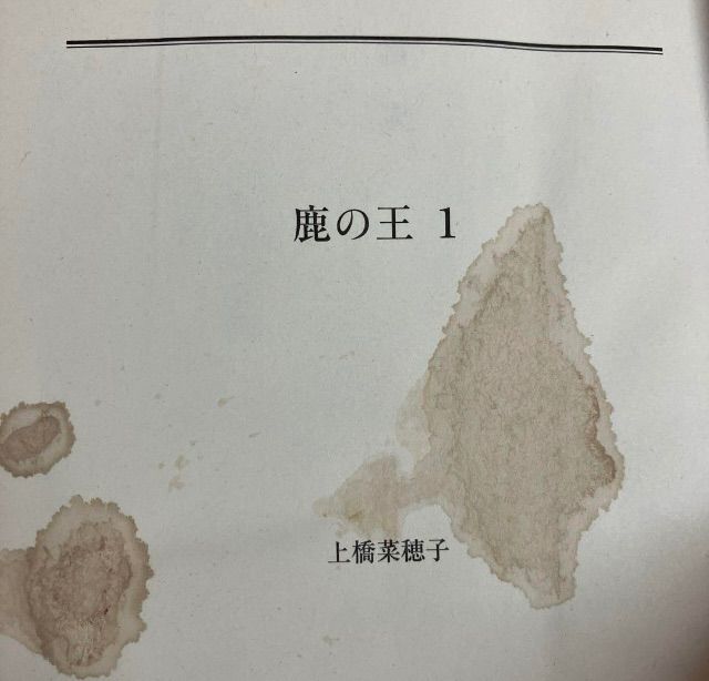 文庫 まとめ売り 小説 東野圭吾 宮部みゆき 107冊セット ドラマ化 映画