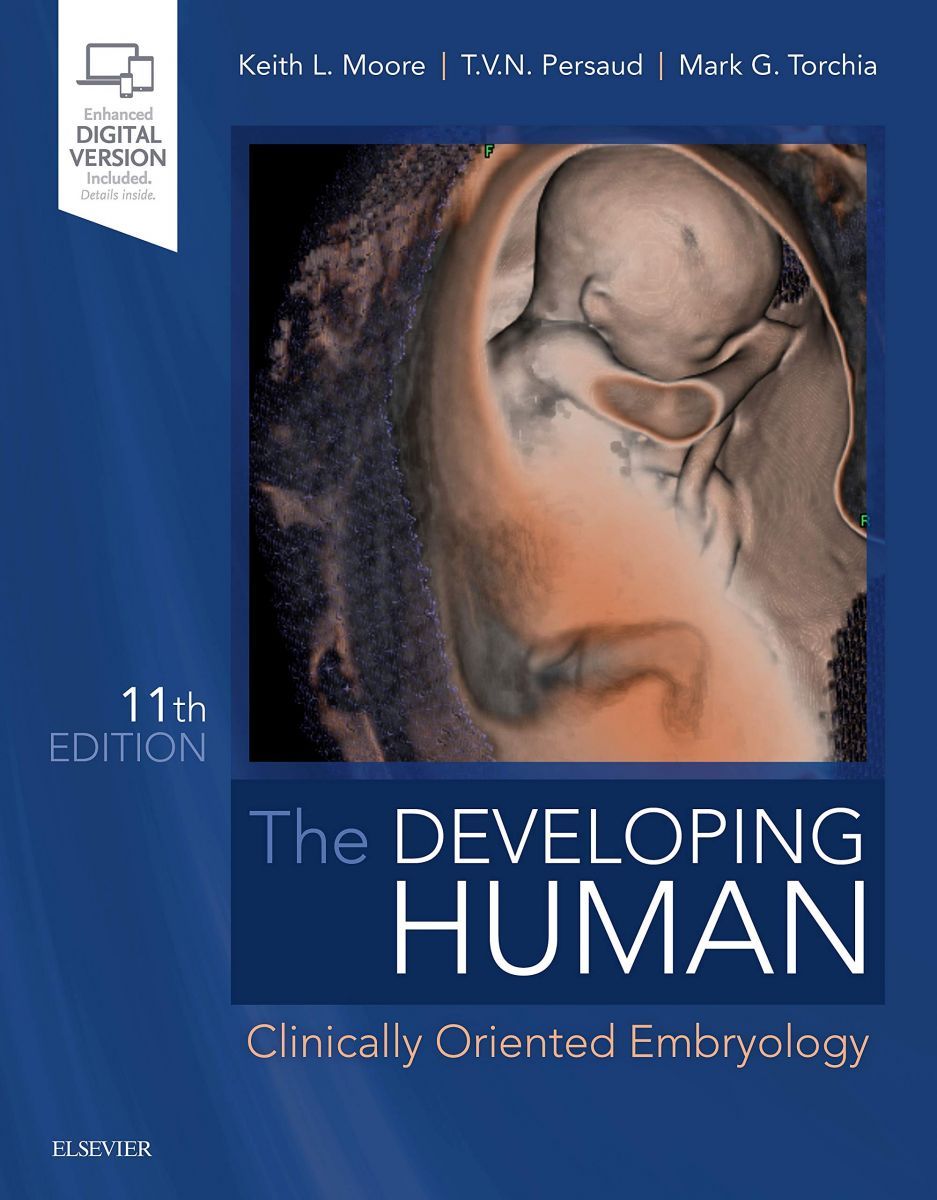 The Developing Human Clinically Oriented Embryology