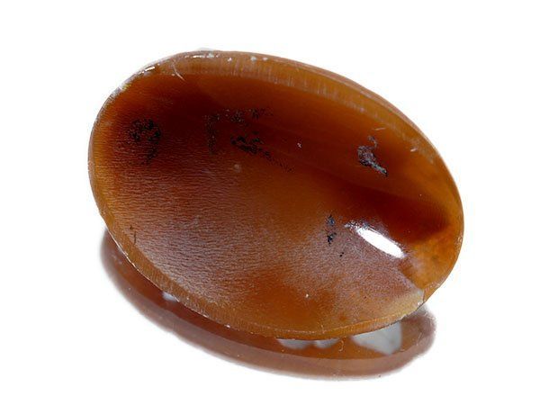 ジュエリー プリオリ作 立体的な花の彫刻 シェルカメオルース 29.7ｍｍ×22.9ｍｍ a2832o 送料無料 FORTGASGNV_COM_BR